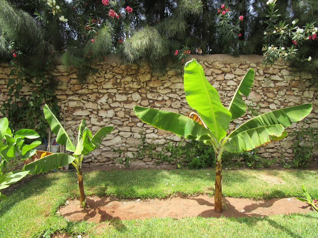 La Maison Des Ailleurs Essaouira Ngoại thất bức ảnh
